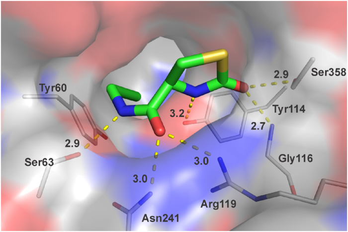 Figure 7