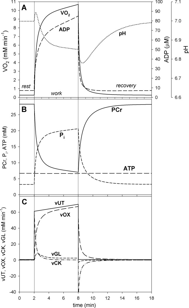 Fig 5