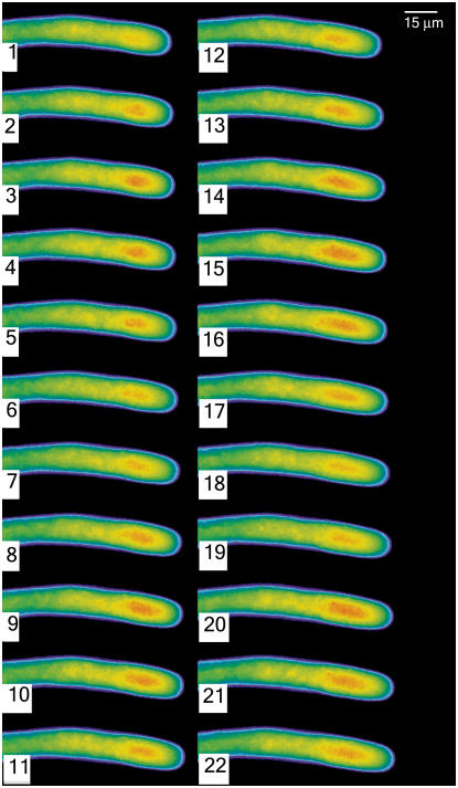 Figure 2.