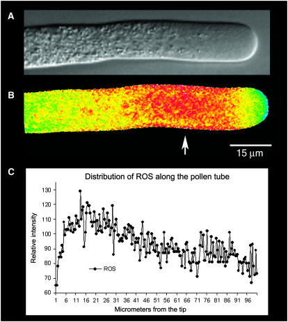 Figure 6.