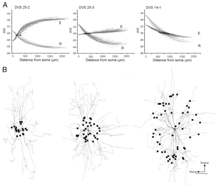 FIG. 1