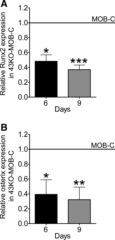 Fig. 9.