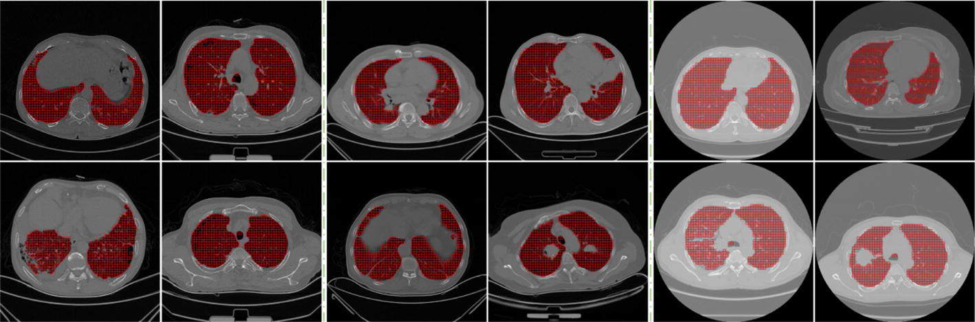 Fig. 8