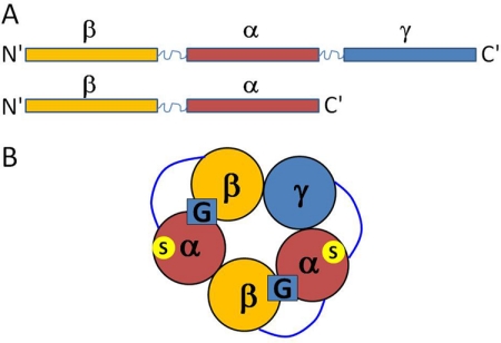 Fig. 1.