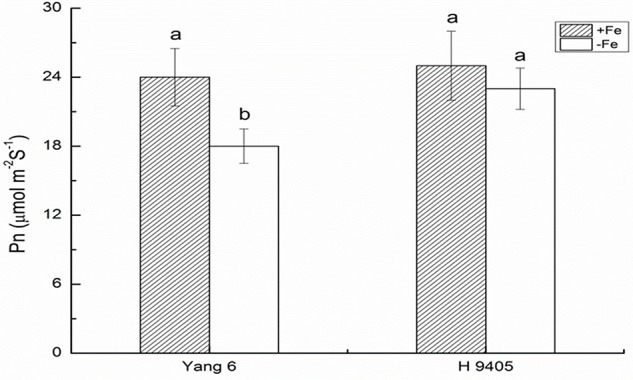 FIGURE 4