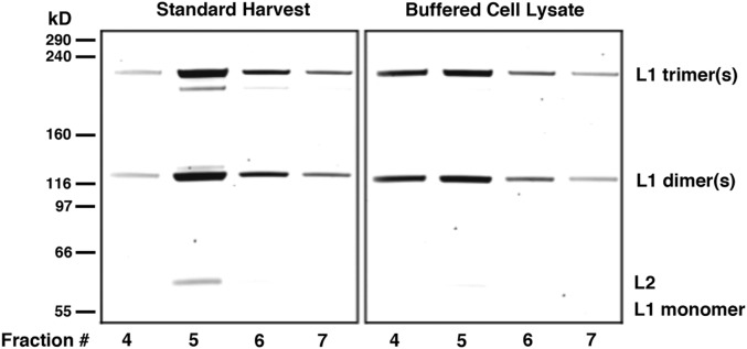 FIG 5 