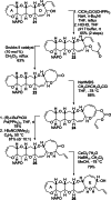 Scheme 5