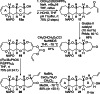 Scheme 4
