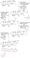 Scheme 6