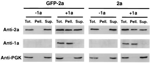 FIG. 6