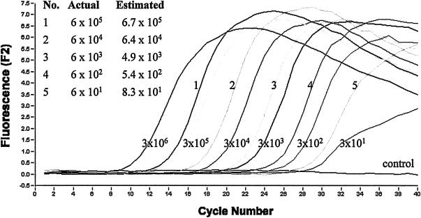 FIG. 2.