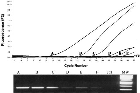 FIG. 5.