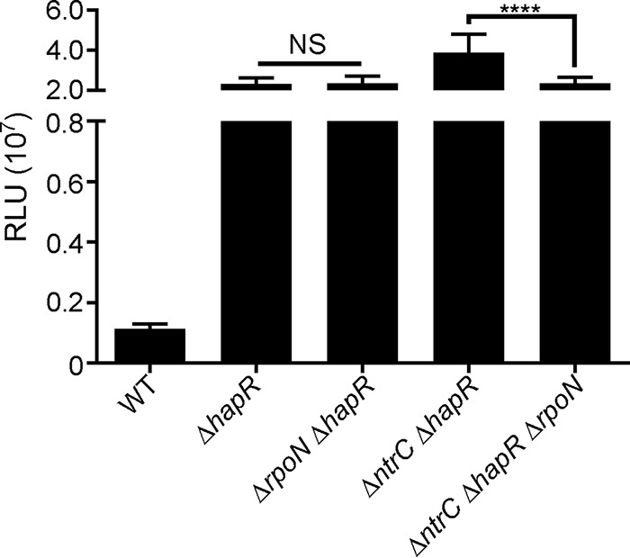 FIG 4