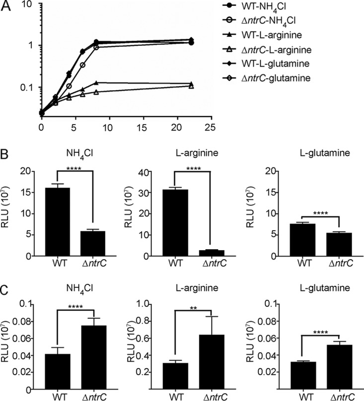 FIG 7