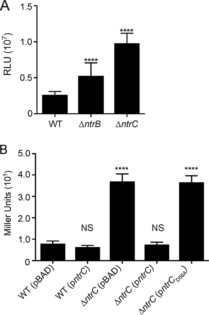 FIG 6