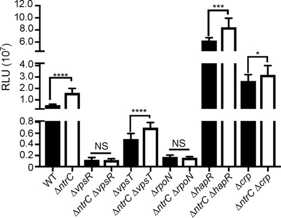 FIG 3