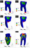 Fig. 6