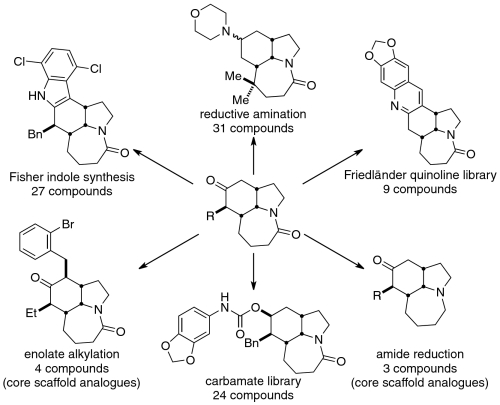 Scheme 2.