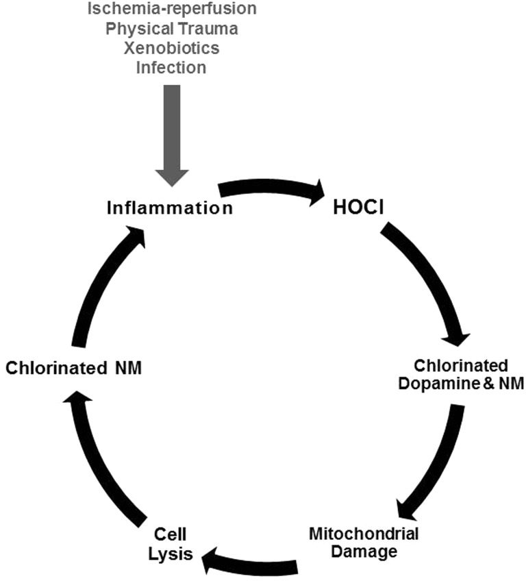 FIG. 11.