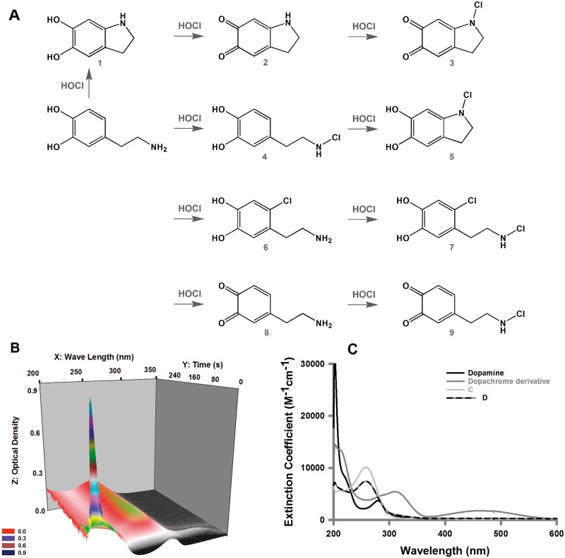 FIG. 1.