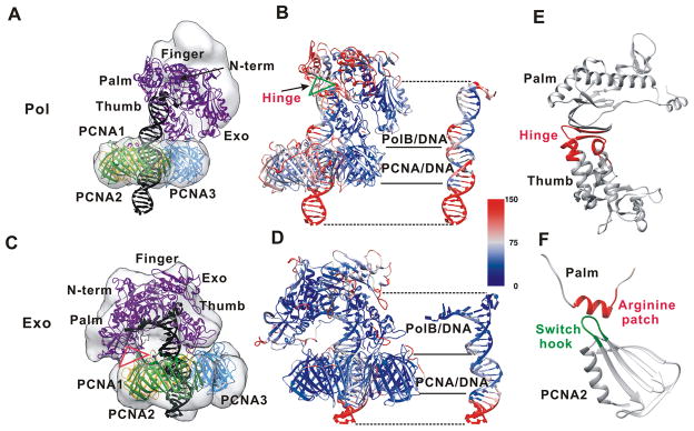 Figure 2