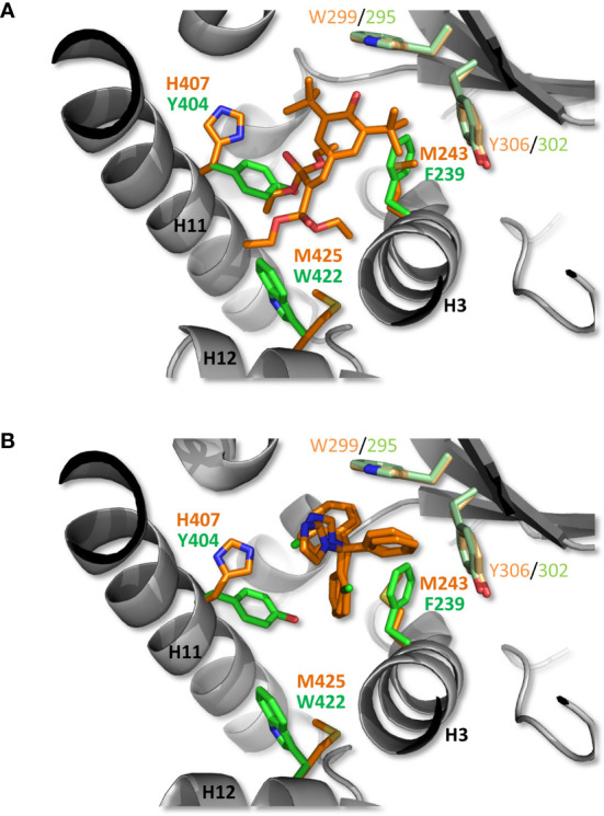 Figure 5