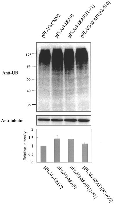 FIG. 7.