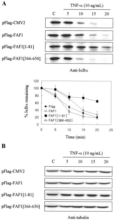 FIG. 10.