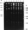FIG. 3