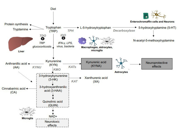 Fig. (1)