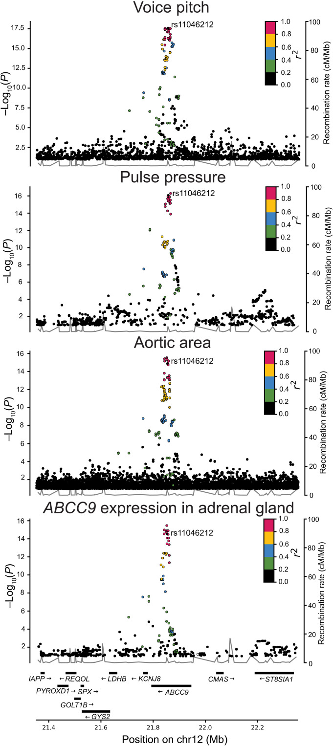 Fig. 4.