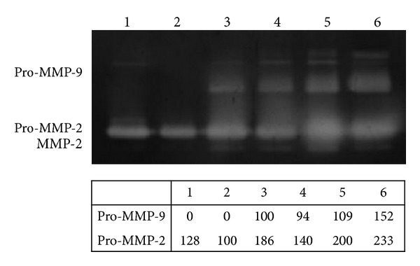 Figure 5