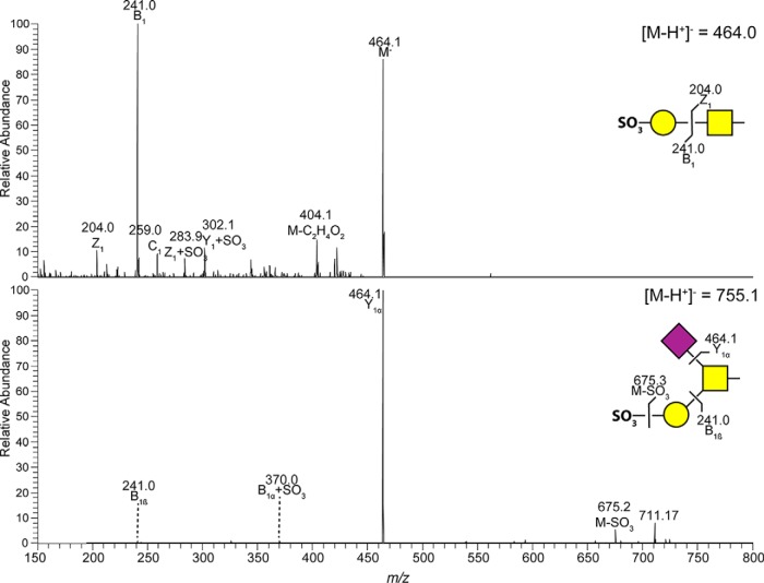 Fig. 8.