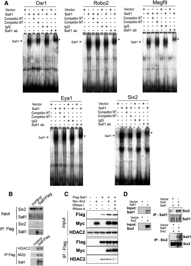 Figure 7.