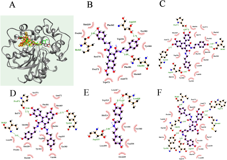 Fig. 4