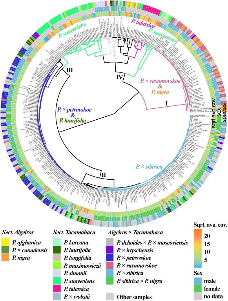 Figure 3