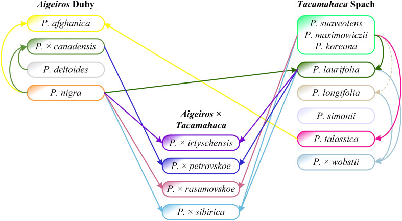 Figure 6