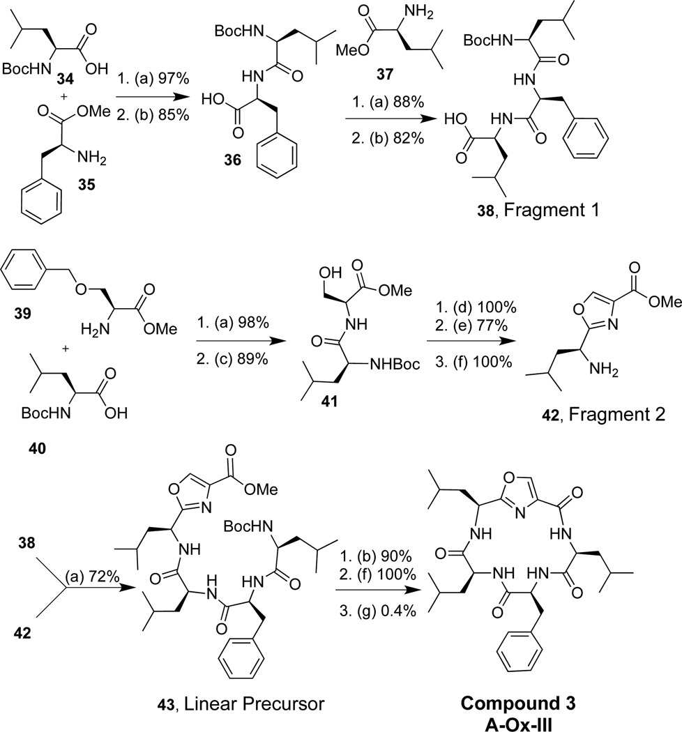 Scheme 3