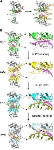 FIGURE 2.