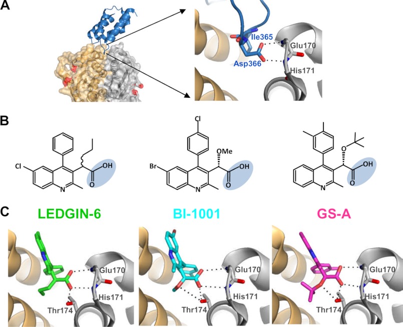 FIGURE 4.