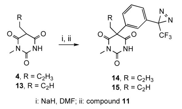 Scheme 4