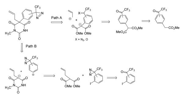 Scheme 1