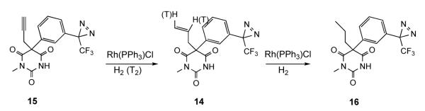 Scheme 5