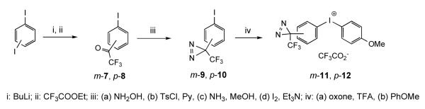 Scheme 3