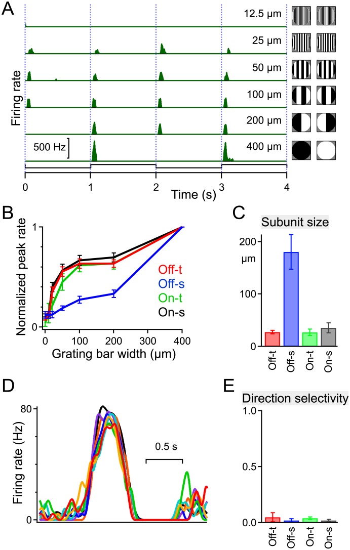 Fig 6