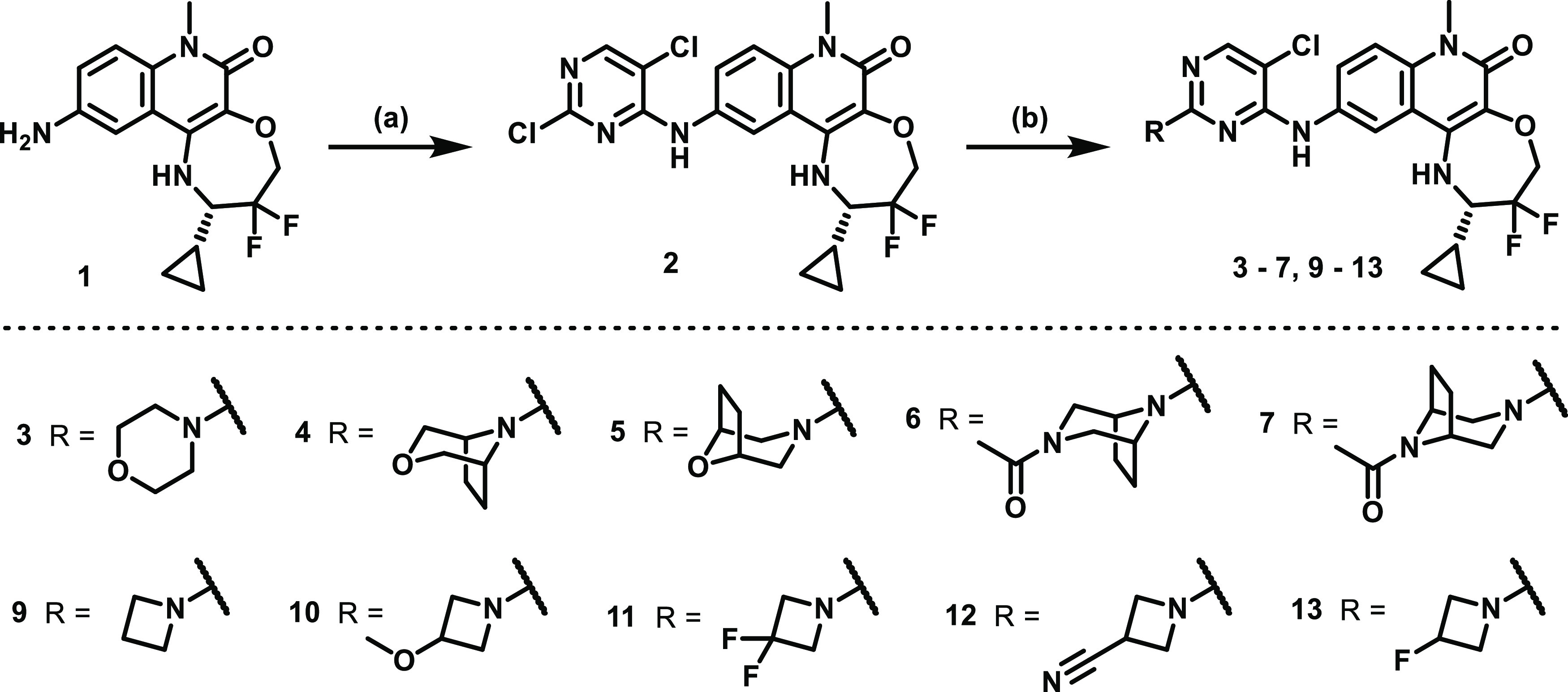 Scheme 1