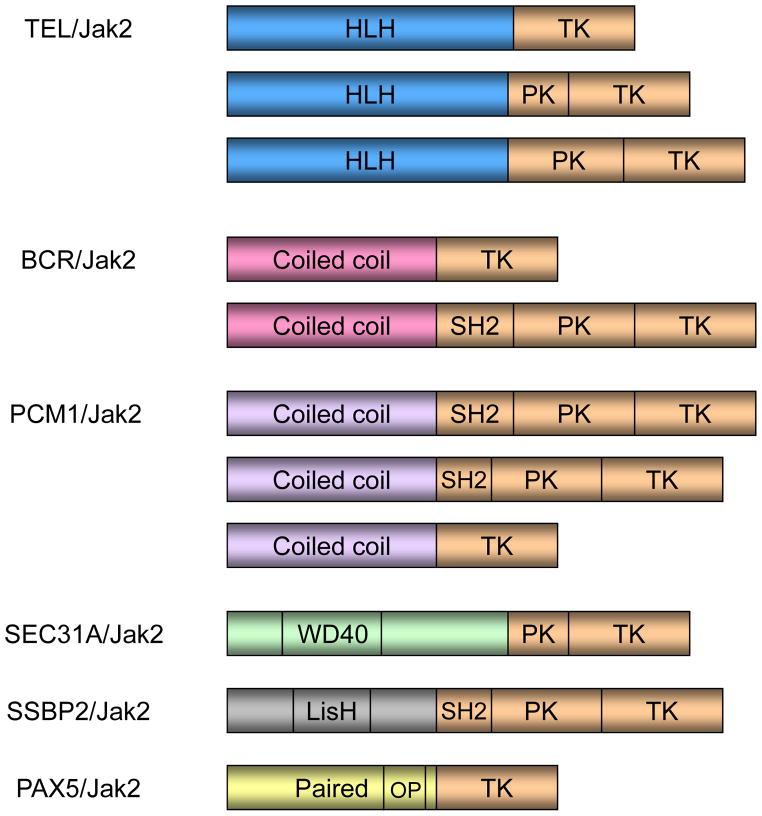 FIGURE 2