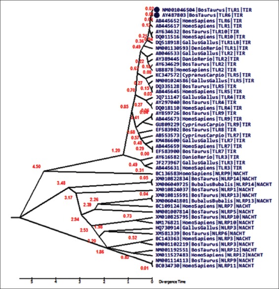 Figure-3