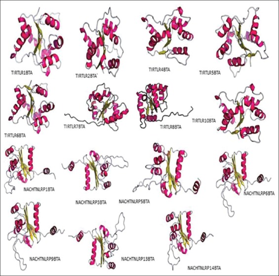 Figure-8