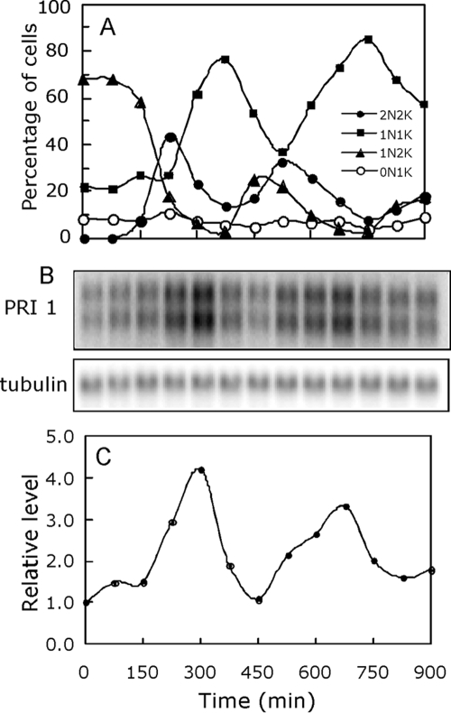 FIG. 1.